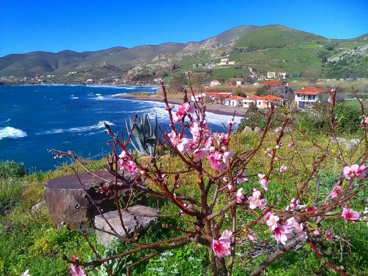 Enalion House Villa Agios Ioannis Kaspaka Dış mekan fotoğraf