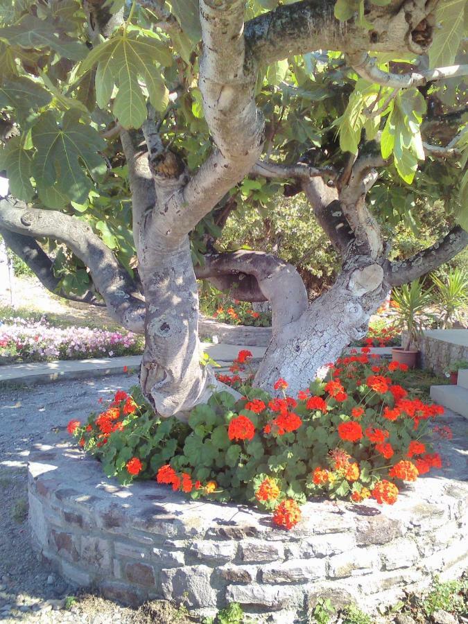 Enalion House Villa Agios Ioannis Kaspaka Dış mekan fotoğraf
